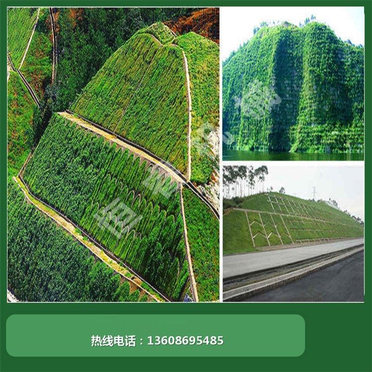 河南恒睿園林綠化工程 從小區(qū)邊坡到垃圾填埋場的專業(yè)施工方案