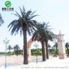 園林綠化新趨勢(shì) 模擬玻璃鋼海藻樹(shù)、大型人造椰子樹(shù)與室外假海棗樹(shù)的應(yīng)用與森啓工藝品廠景觀施工