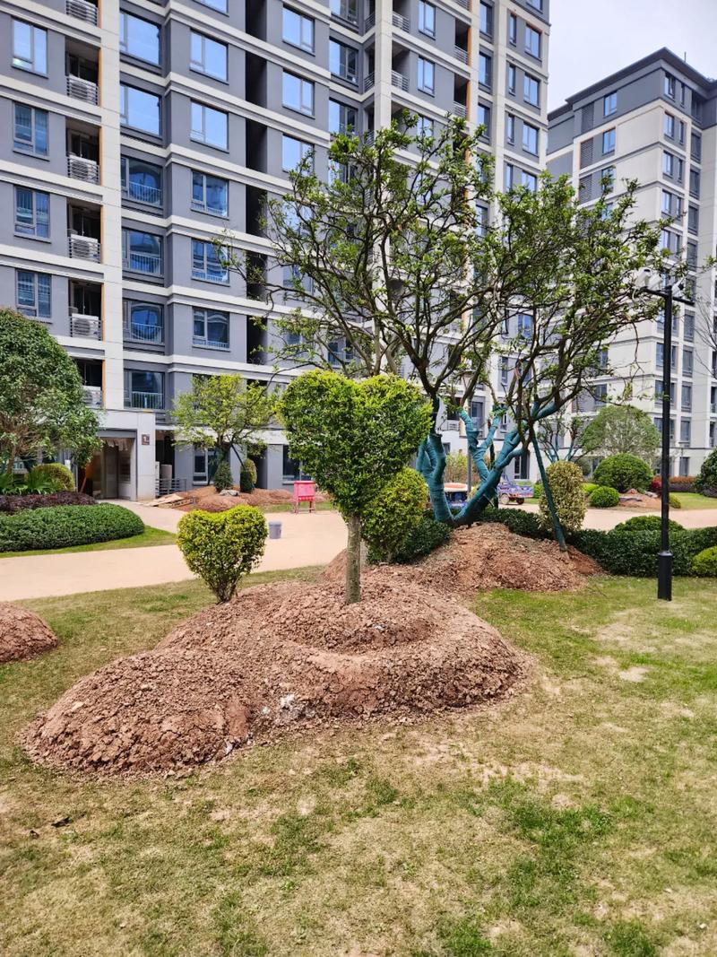 “園林綠化工程施工 | 公園改造竣工案例賞析”,